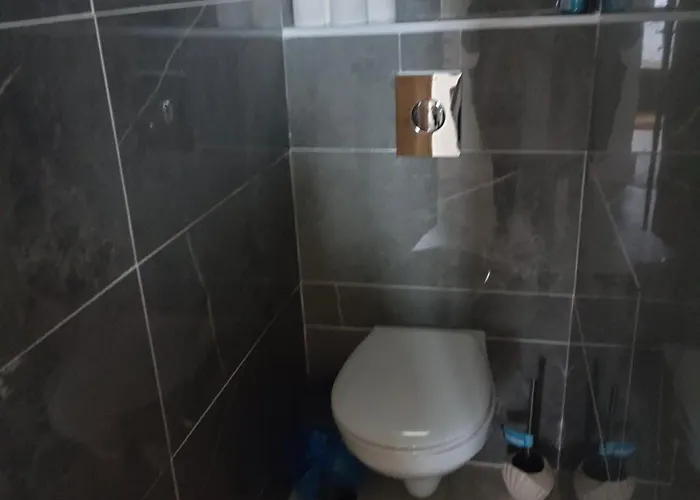 Сasa de vacaciones La Maison De Juliette Maison Entiere Avec Garage Et Terrain